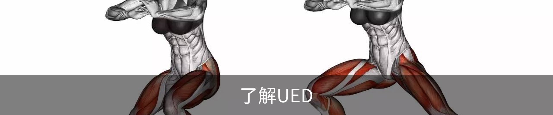 了解UED