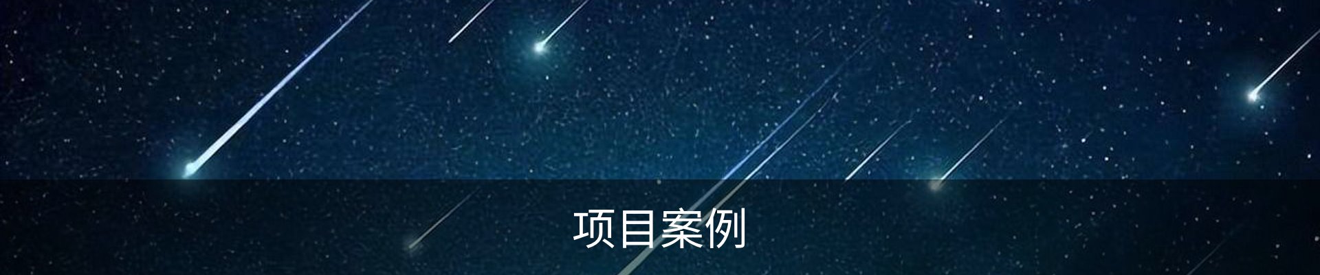 项目案例